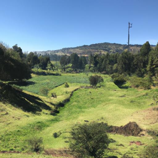 Sistema de salud en Dinamarca: Funcionamiento, financiación y características